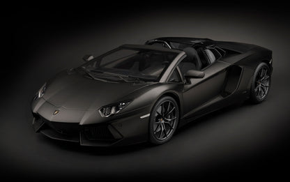 Pocher Lamborghini Aventador LP700-4 Roadster Nero Nemesis - RCXX - RC Racing Shop | RC Models | Tuning & Spare Parts for Professionals