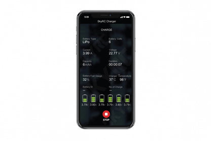 SKY RC B6 NANO DUO Charger